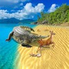 中科短剧